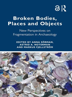 cover image of Broken Bodies, Places and Objects